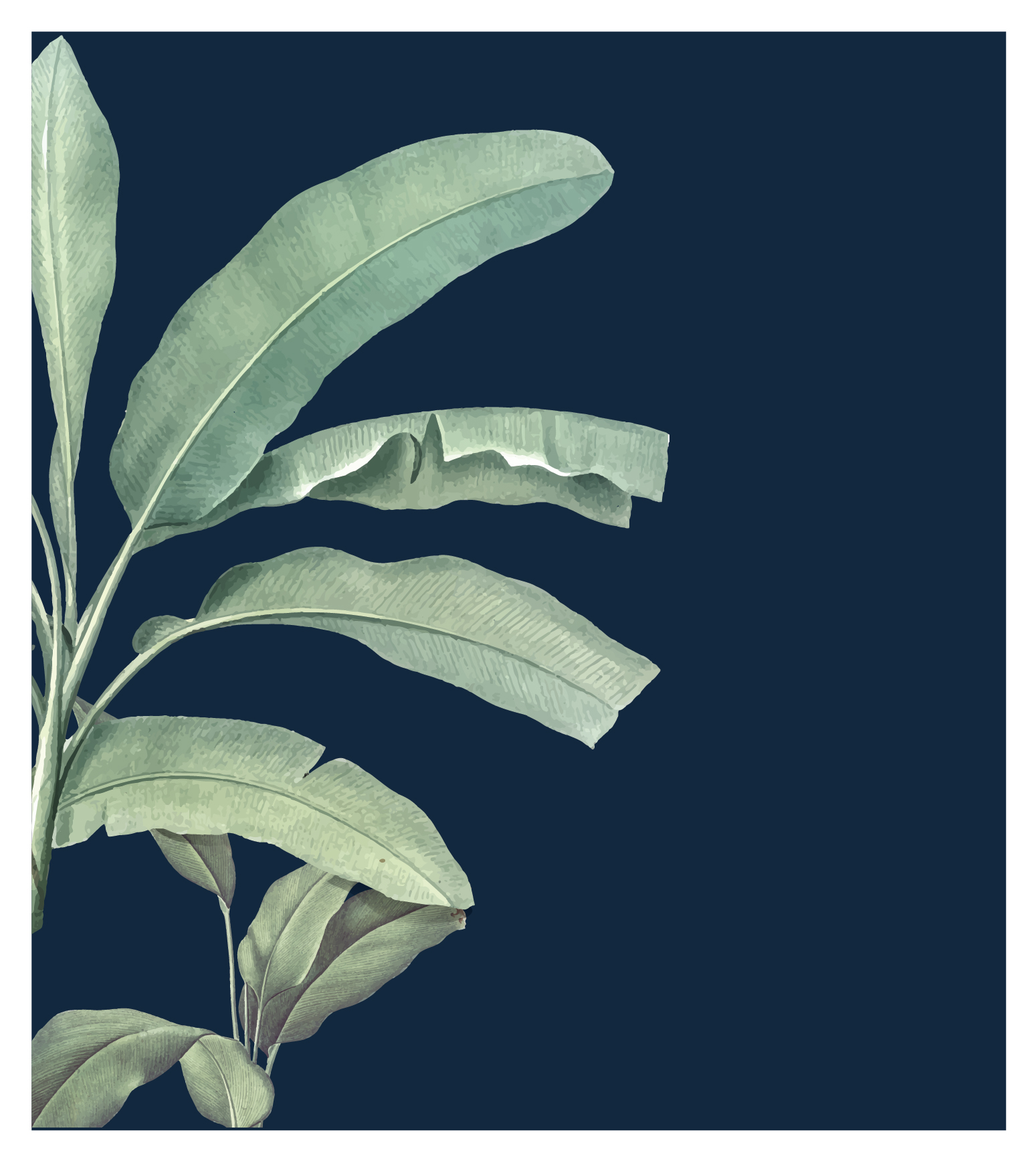 Claire Waddell Design